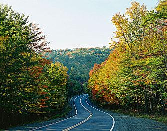 系列最新作《女神异闻录５ 战略版》将登陆多平台！